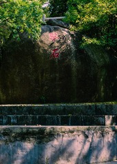 D64161C8-1F7A-43ED-A693-AD98F1513CA9/L0/001