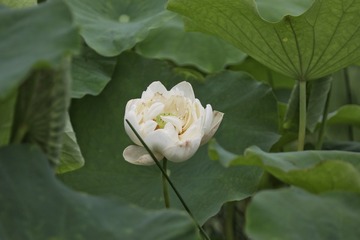 625309