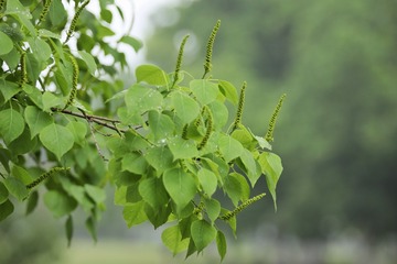 606587