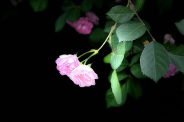 2A534698-77ED-437C-B52C-0E653ECAC486/L0/001
