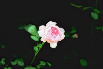 E1EB7B72-5B3D-445F-8E42-2EB415DF18DD/L0/001