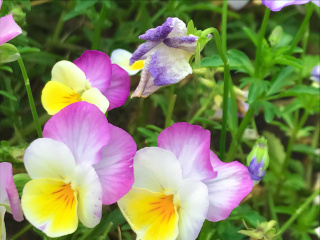 001