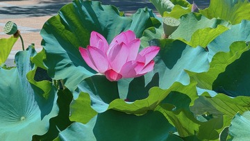 001