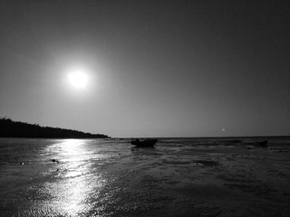 B4F02045-81EC-41E2-848C-7A4151446B33/L0/001