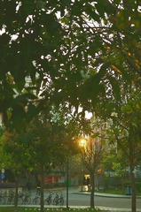 DSC_0476.jpg