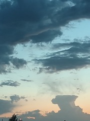 1000015632