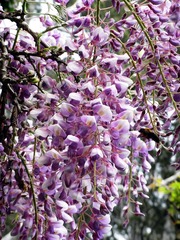 RIMG0507_