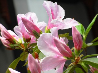 RIMG0474_