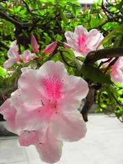 RIMG0477__