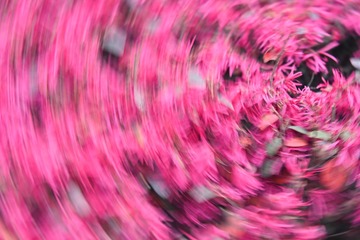 406934F9-5E6F-4677-B7B5-9604BF1026FF/L0/001