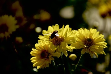 C8786502-0A05-4FE1-AE04-4713D021B238/L0/001