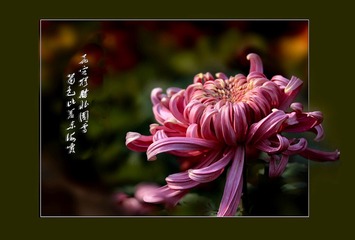 BB502E9C-3DFA-4609-887C-230B0264DB20/L0/001