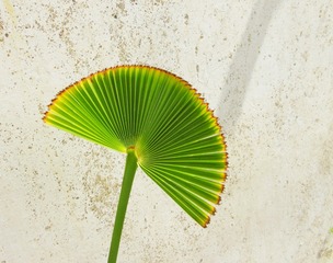 16799