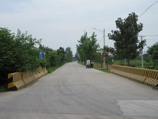 20009