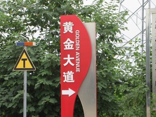 20011