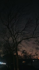 A1453AEA-78A6-4814-A95E-52CA70DC1C1B/L0/001