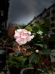 18A6FB68-BF8B-4DDC-BBD2-28259DB8C60A/L0/001