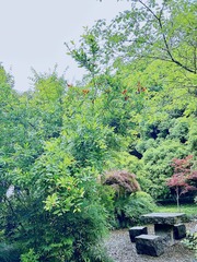 CD110999-D14C-4387-8B34-9AD25E91C7BE/L0/001
