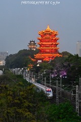 6F593366-D10D-4A2F-AE1D-D381DF0B6AE1/L0/001