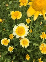 82C0003A-B0FC-4D30-8B0B-CBBD1D8A7FB6/L0/001