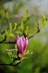 DSC_1850.jpg