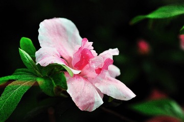 DSC_1933.jpg