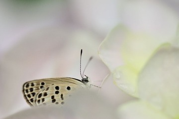 DSC_2260.jpg