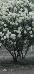 5B979E76-CA6C-403C-946C-61E1EF25C303/L0/001