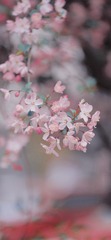 FD4B9C40-C0B9-4540-8015-AF9CF26261D8/L0/001