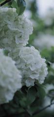 7ED09854-A03B-45FD-AACE-CD34CE2B1FC2/L0/001