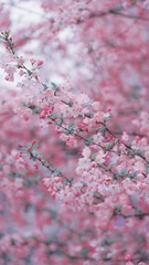 3C9A0B11-8BB0-4312-A3C9-1008DBFF7355/L0/001