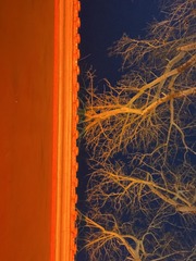 DC2179A2-8AD6-424A-AD5E-D90DA5EC5DD2/L0/001