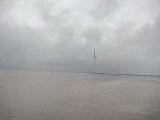 1000053146