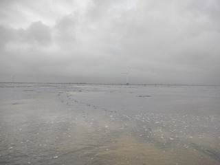 1000053147