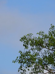 6E4D6275-72B3-4104-80B6-A7355D2AAB1A/L0/001