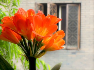 DSCN3703.jpg