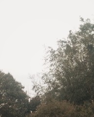 1105151