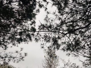 1102544