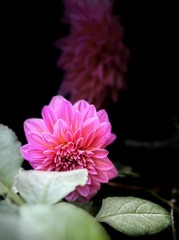 A6043E78-08CE-4869-A0BF-CF22D6155D2F/L0/001
