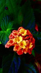107DC141-3050-44EC-84F5-C0E26FC0D563/L0/001