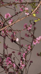 B8AED2F8-24CB-4940-9A4F-5E822A64E2B7/L0/001