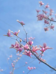 3AF4943F-3042-4AB5-952D-E7F5B977D00E/L0/001