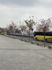 3106AFE5-6991-430B-9866-8C5A959AAE40/L0/001