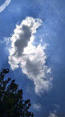54