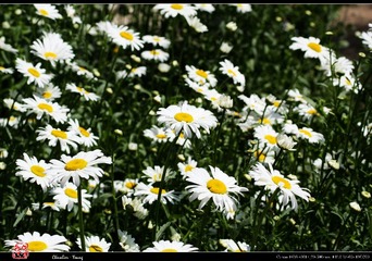 2009_05_17_0998.jpg
