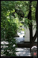 IMG_0863.jpg