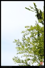 IMG_0875.jpg