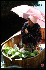 IMG_1007.jpg