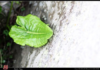 IMG_1427.jpg