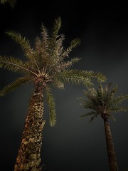 AB9E6DB8-D89C-4E9F-92D0-23A2B0D2C0F0/L0/001